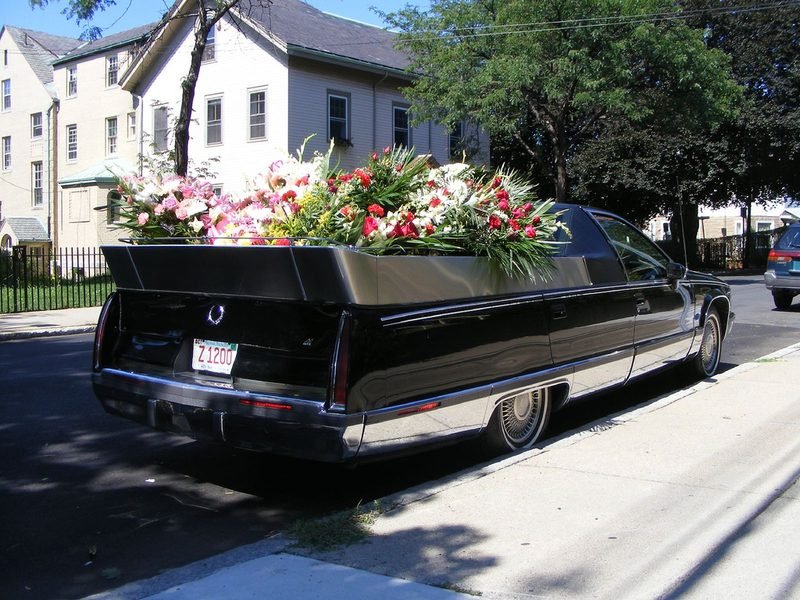 Professional hearse transport vehicle